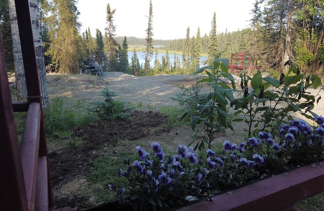 Puffin Cabin; Immersed In NatureNear Kenai River