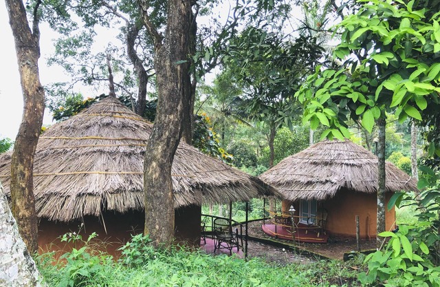 Punarjani Ayurvedic Resorts