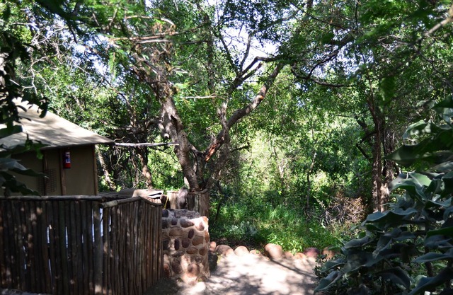 Pure wilderness in Amanzimlotzi Riverside Bush Tent in Limpopo, Kruger Park