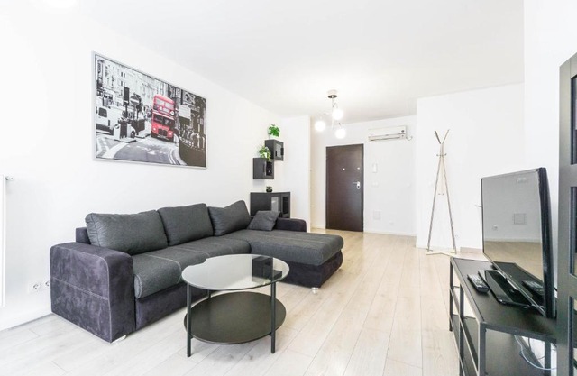 Purple Luxury Aviatiei