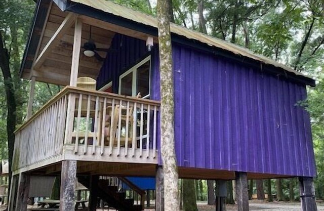 Purple Pines