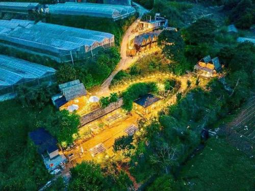 Q Village Homestay Đà Lạt