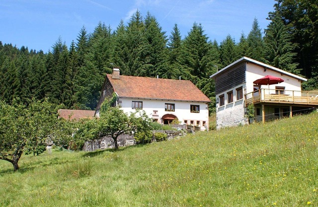 Quiet 3 * gîte on the edge of the forest, overlooking the Moselotte valley