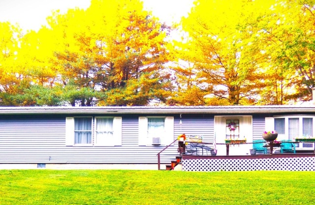 Quiet Cozy Home in God's Country Potter County PA -