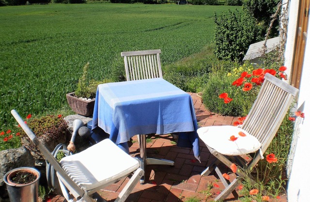 quiet Lake Constance oasis in the countryside with cat care