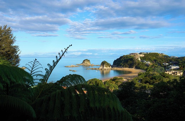 Quiet, secluded, relaxing and private with bush track to beach!