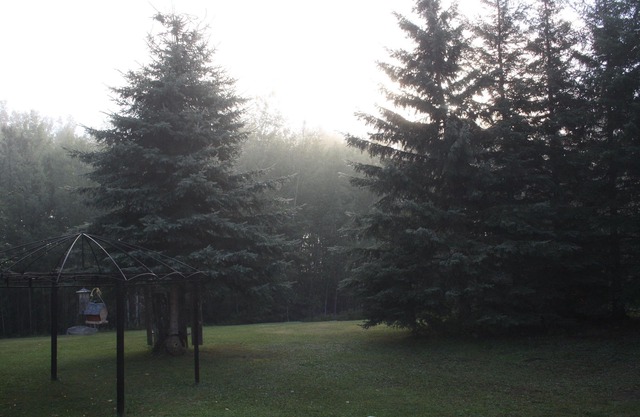 Quiet wilderness location, many lakes nearby for fishing and recreation.