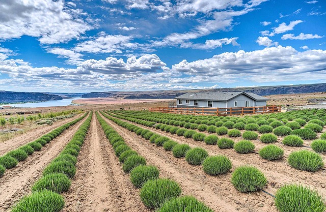 Quincy Home on Lavender Farm w/River Views!