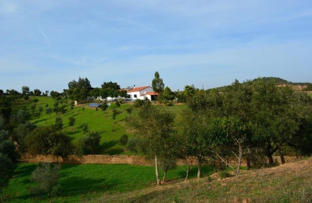 Quinta Do Grilo