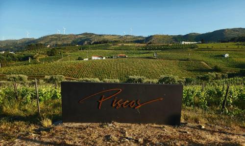 Quinta dos Piscos