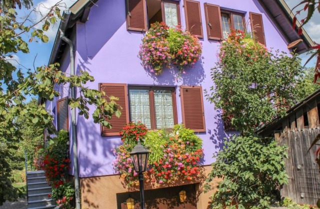 Résidence jaune et rose by Interhome
