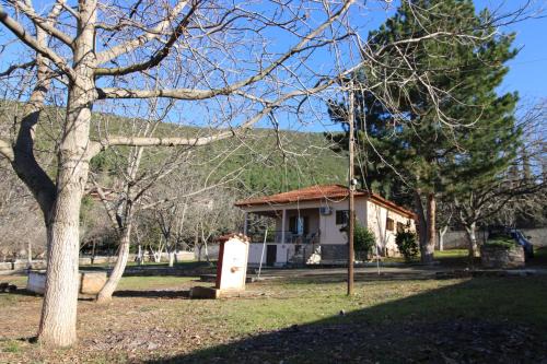 Raise Polydrosos Family Lodge