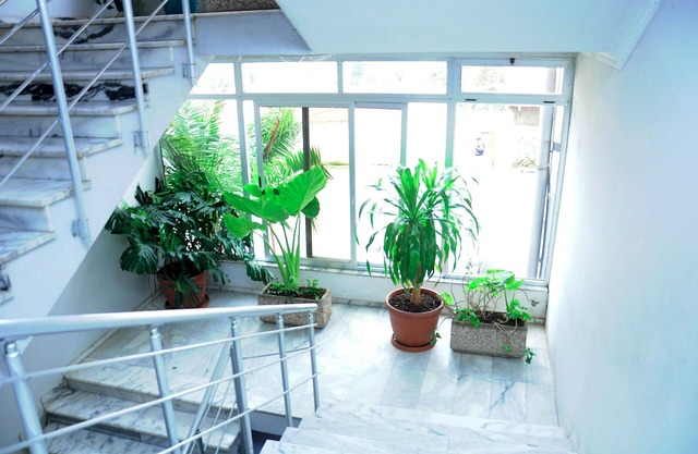 Ras Amba Hotel