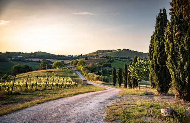 Recchi Franceschini Bike Hotel LAST - MINUTE - AVAILABILITY