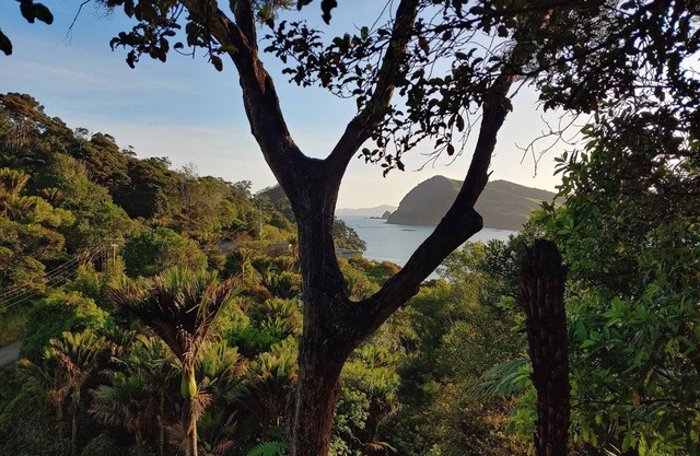 Recharge in Paradise at the Ocean