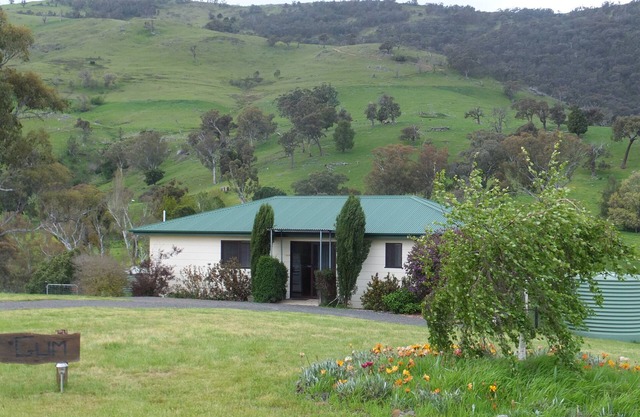 Red Gum Pet Friendly Cottage