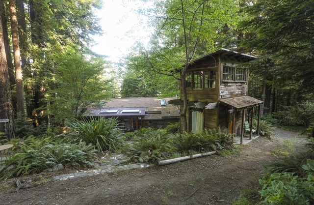 Redwood Forest Getaway