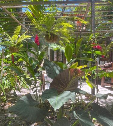 REFUGIO DO SAGRADO MORERE