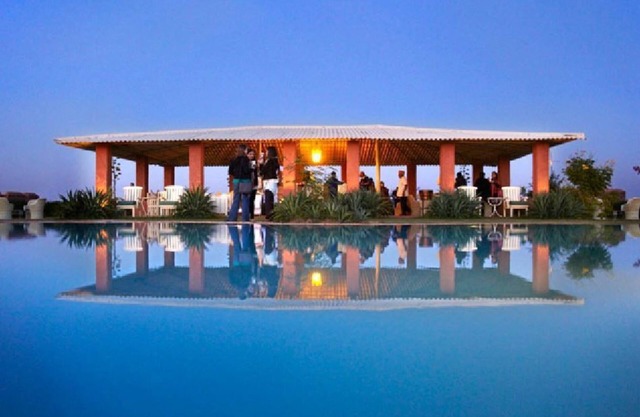 Reggie's Camel Camps