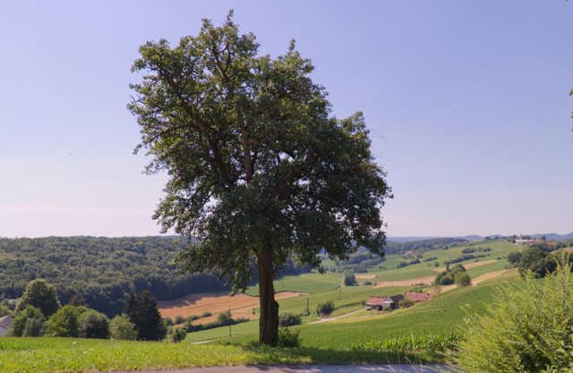 Rein ins Thermenland
