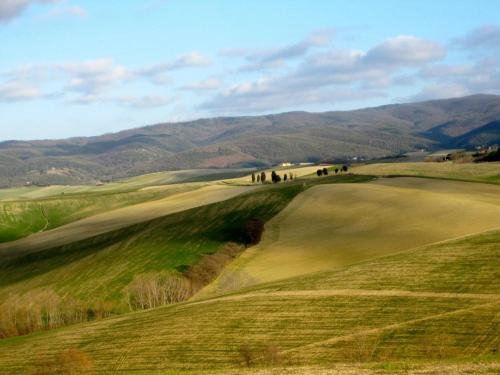 Relax nella meravigliosa campagna Toscana ad un passo dal mare