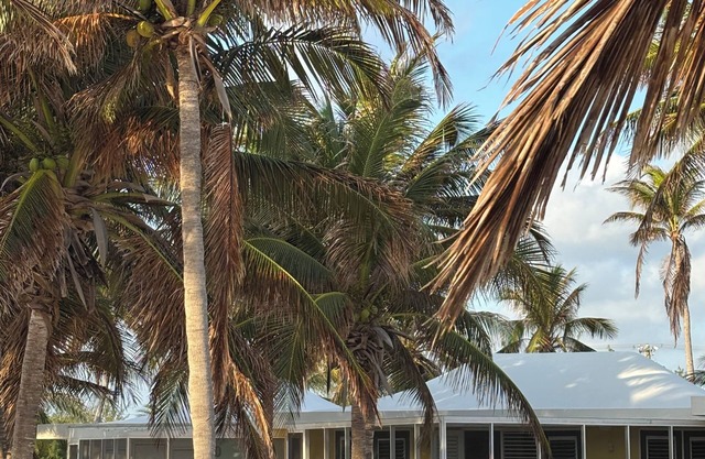 Relaxed Bungalow on Private Beach, Super Snorkeling, Sea Lodge #25 Cayman Kai