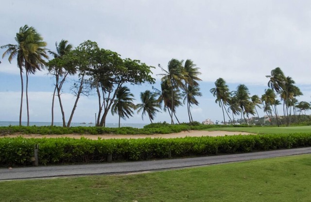Relaxing Oceanfront Villa in Palmas del Mar (BV228)