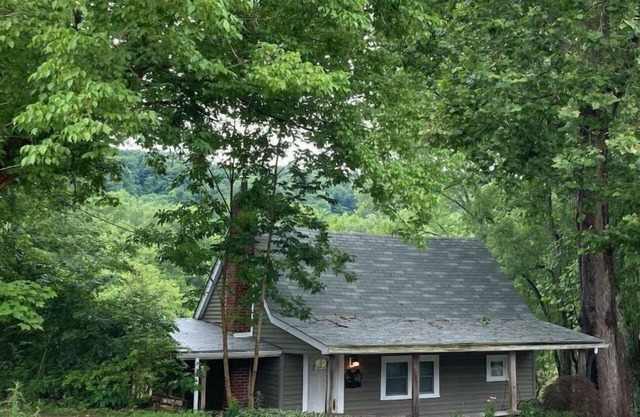 Relaxing Riverside Retreat - Eagle View Cabin