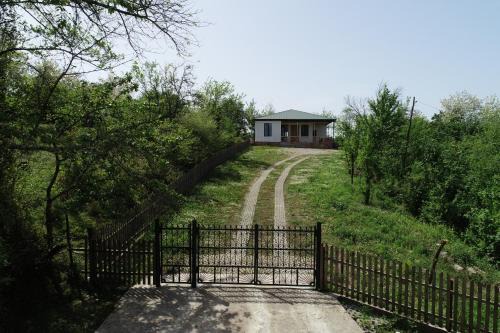 Renovated 3-bedroom House in Nature - Iskia Estate