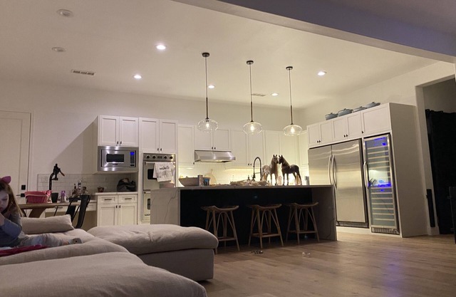 Rent my Furnished NEWLY REMODELED HOME FOR MONTH OF MARCH OR THIS SPRING!