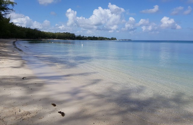 Rent self catering flat 250 m to Trou aux biches and 500m to MonChoisy beach