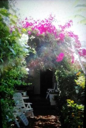 Residence Vulcano Cottage