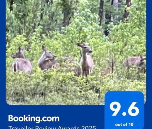 Resort Home on half a Wooded Acres Sleeps up to 14 Firepit for Smores