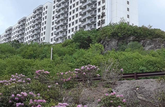 Resort Rental Property