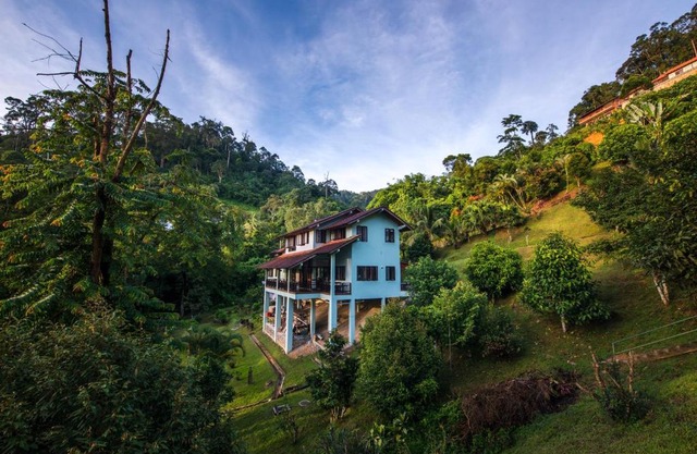 Rest Pause Rainforest Retreat