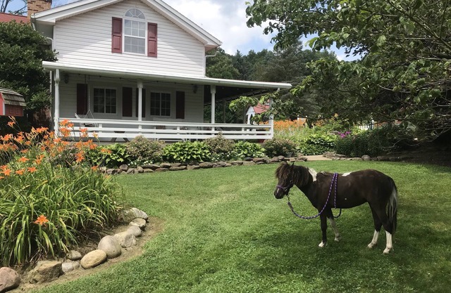 Restored Historical Farmhouse With Pond And Farm Animals At Mohican State Park