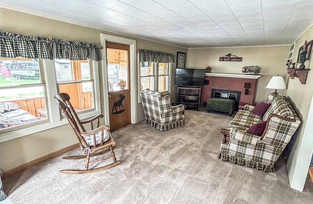 Retro Moose Cottage - Home in Lake City