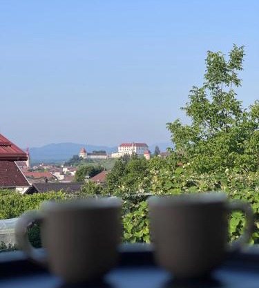 Rezidenca Vista Lux
