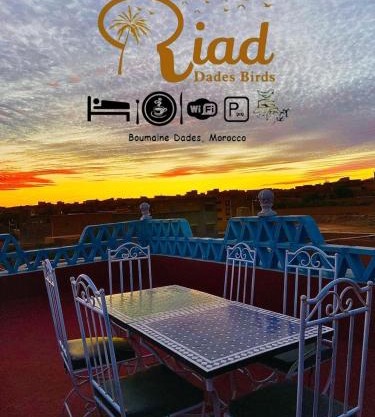Riad Dades Birds