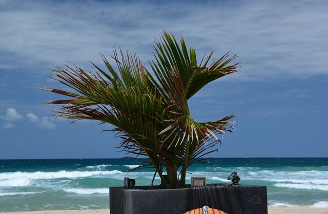Riake Resort & Villa