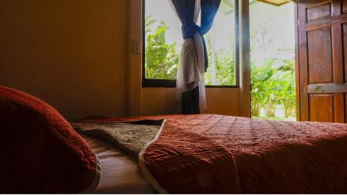 Rio Celeste Cabinas Vista Tenorio