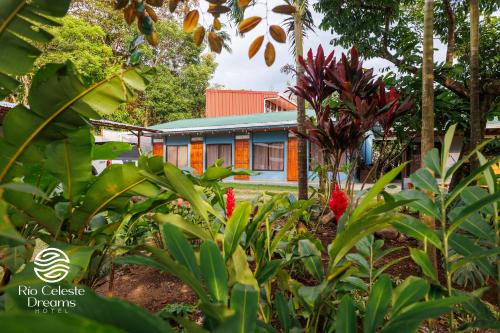 Rio Celeste Dreams