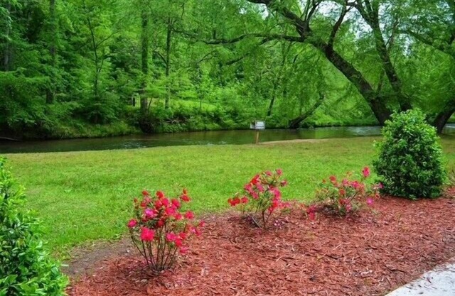 River life on the Chattahoochee in Helen Ga., River life
