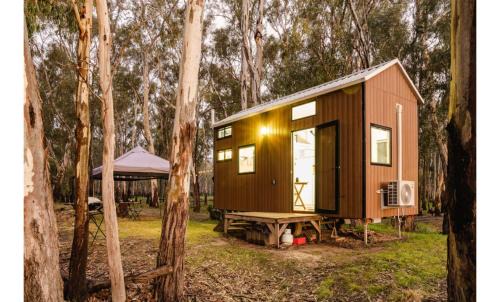 River Red Gum