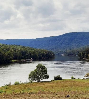 River View RV