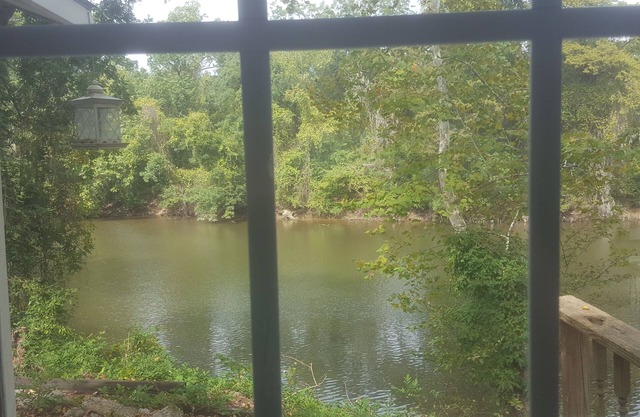 River views from Bed! Walk to Uptown & ECU
