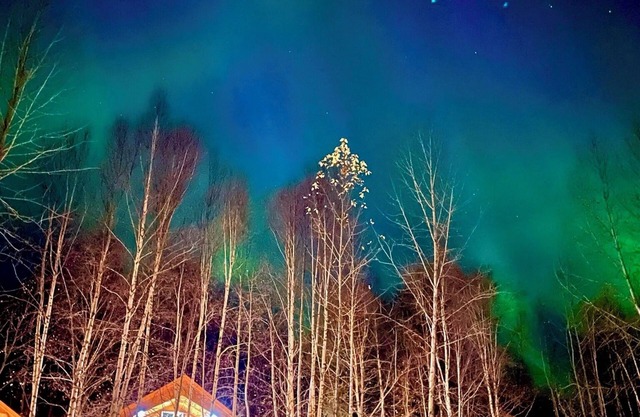 Riverfront, Authentic, Luxury Log Cabin-Bull Moose