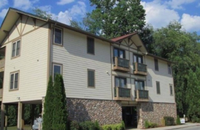 Riverfront/Easy Walk To Helen. 1BR/IBA Top Unit With Beautiful River Views