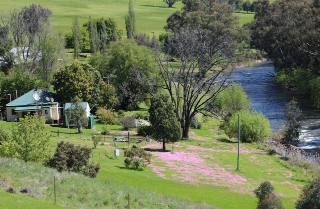 Rivers Edge Pets Allowed Cottage Tumut