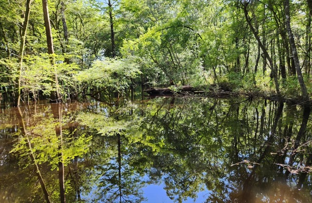 Riverside 2-bedroom Camper with AC and WiFi. Boat ramp available.